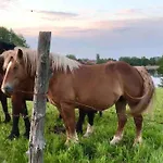 Zakatek Na Mazurach I Kalinowo, Romoty