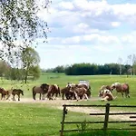 Zakatek Na Mazurach I Kalinowo, Romoty 度假居 Kallinowen