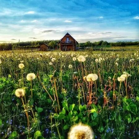 Zakatek Na Mazurach I Kalinowo, Romoty