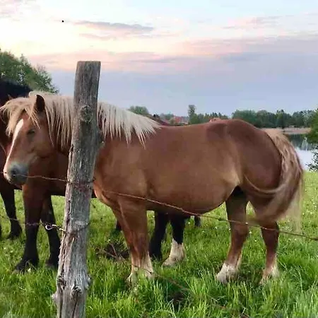 Zakatek Na Mazurach I Kalinowo, Romoty