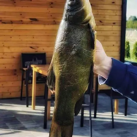 Zakatek Na Mazurach I Kalinowo, Romoty Дом отдыха Kalinowo (Elk)