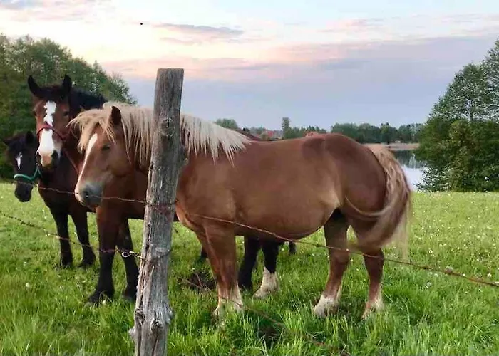 Zakatek Na Mazurach I Kalinowo, Romoty